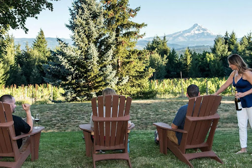 What Makes The Wineries Near Hood River So Special: A Detailed Review  - LatestBlogPost