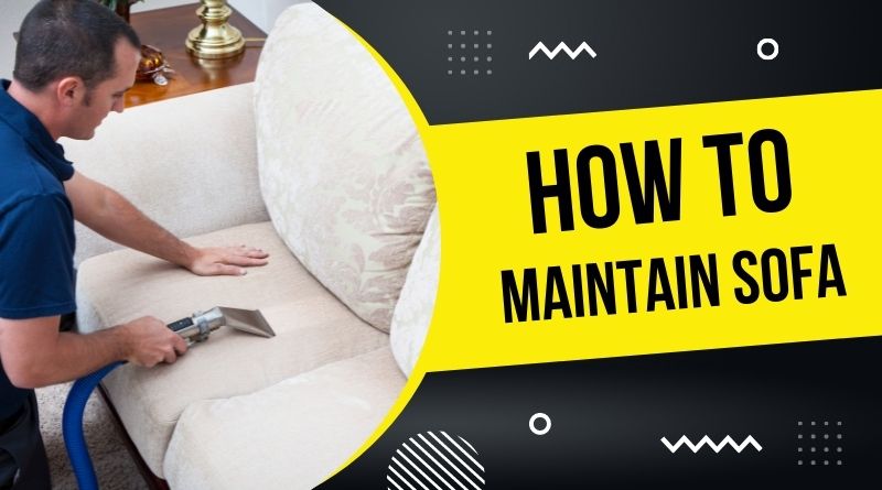 how-to-maintain-sofa
