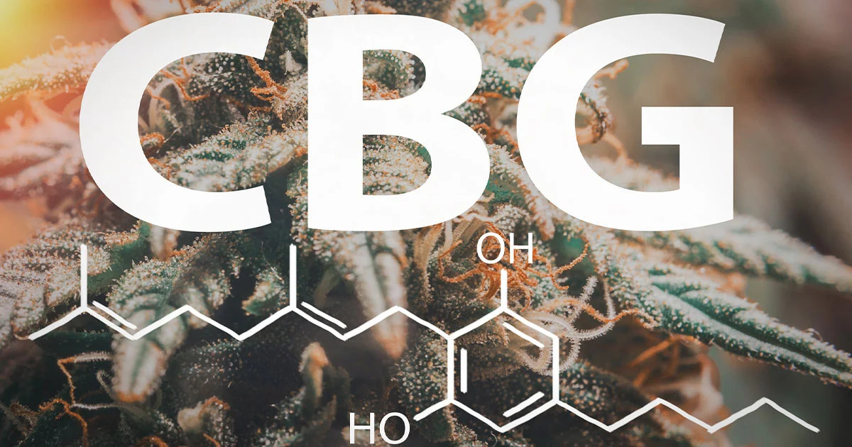 The Ultimate Guide to CBG – Benefits, and Uses