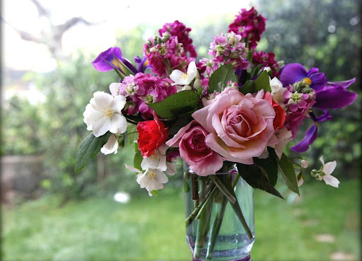 In What Ways Flowers Help You Improve Your Health?