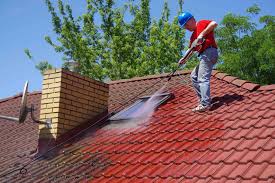 Don’t Let Your Roof Become a Green Oasis: The Importance of Roof Cleaning