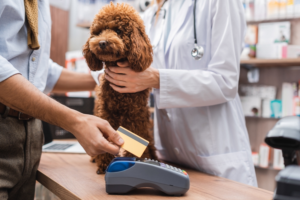 Exploring Pet Insurance Acceptance Among Veterinarians: What Pet Owners Need to Know